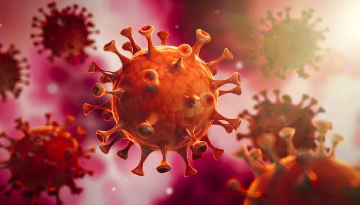 Coronavirus (Covid-19) Immigration Law Update