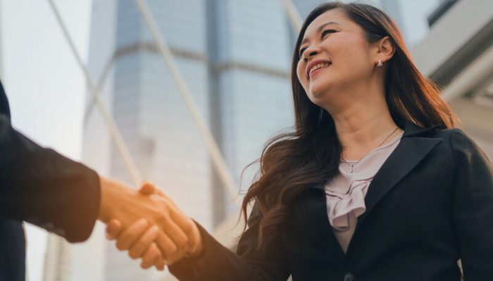 Sole Representative Visa Application Guidance