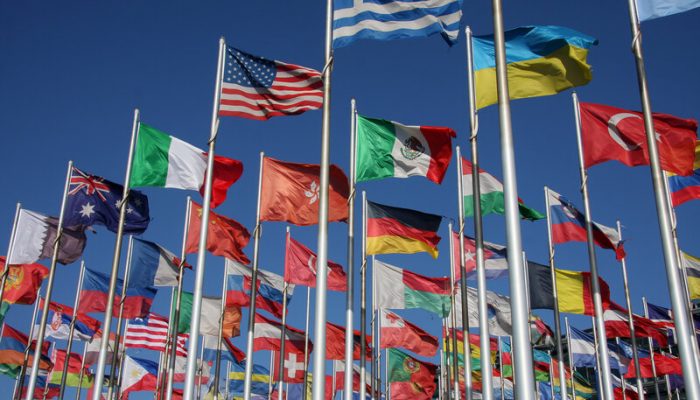 Country Policy and Information Notes (CPINs) in Asylum and Human Rights Appeals