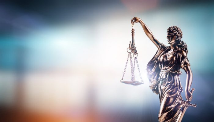 What Is a 'New Matter' in an Immigration Appeal?